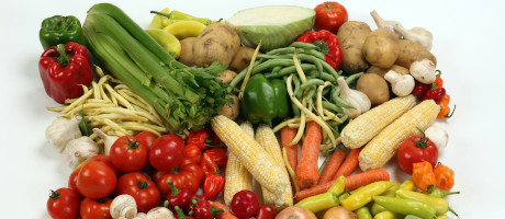 Clinical Nutrition & Dietetics