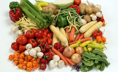 Clinical Nutrition & Dietetics